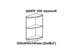 Нижняя угловая полка открытая прав 300х840х540мм ШНПУ 300 правая Нови