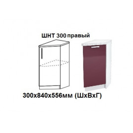 Шкаф нижний торцевой правый 300х840х560мм ШНТ 300 прав Нови