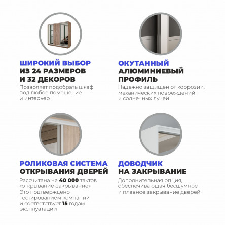 Шкаф-купе Медиум 2 зеркало, 240х45х240 45EMT2_240240_SHS