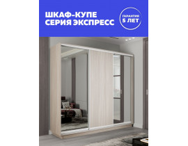 Шкаф-купе Медиум 2 зеркало, 240х45х240 45EMT2_240240_SHS