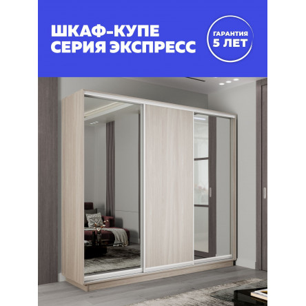 Шкаф-купе Медиум 2 зеркало, 240х45х240 45EMT2_240240_SHS