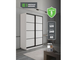 Шкаф-купе Экспресс, 2дв. 4 секции (ЛДСП), Черный профиль, 120х60х240, E4ED_PBL_120240_B