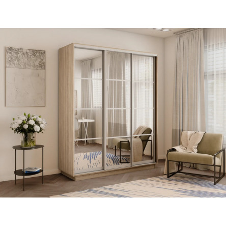 Шкаф-купе Экспресс, сонома, 210х220х60 см, профиль серебро, 1 штанга, 9 полок Зеркало