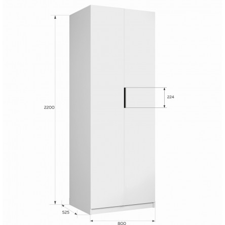 Шкаф 800х2200х52,5 Моно (без полок) Mono_800_B