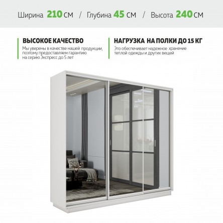 Шкаф-купе Экспенс, 210х45х240 45EEKT_210240_B