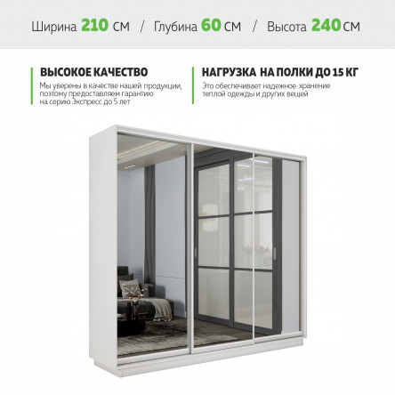 Шкаф-купе Экспенс, 210х60х240 EEKT_210240_B