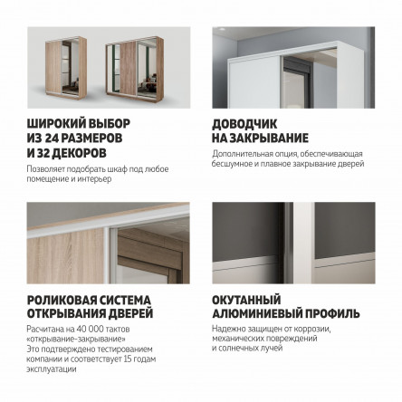 Шкаф-купе Экспенс, 210х60х240 EEKT_210240_B