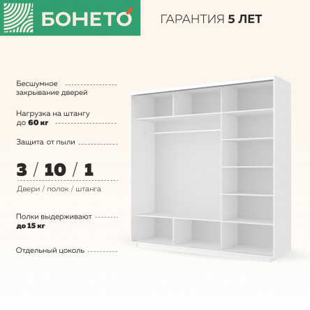 Шкаф-купе Лоял 3дв.- ДСП/Зеркало/ДСП, LoyalDZD_210_B