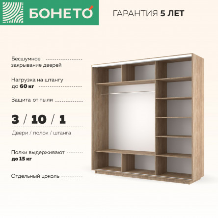 Шкаф-купе Лоял 3дв.- ДСП/Зеркало/ДСП, LoyalDZD_180_S