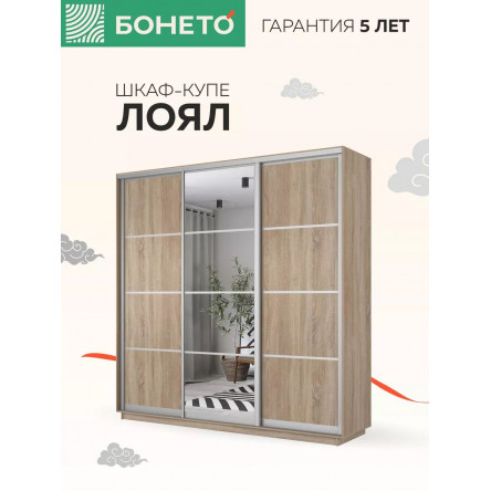 Шкаф-купе Лоял 3дв.- ДСП/Зеркало/ДСП, LoyalDZD_180_S