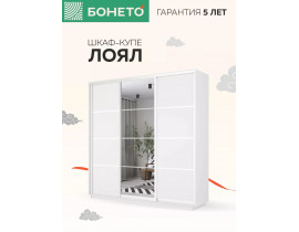 Шкаф-купе Лоял 3дв.- ДСП/Зеркало/ДСП, LoyalDZD_210_B