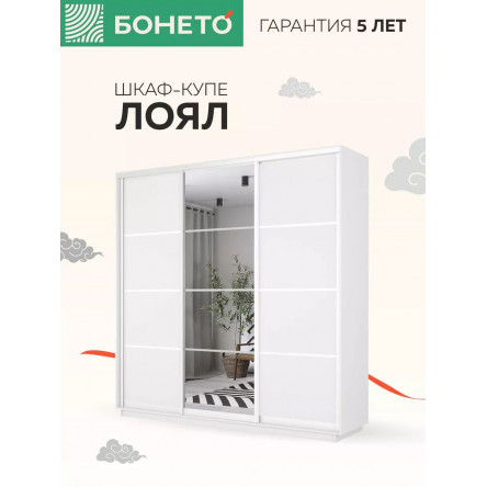 Шкаф-купе Лоял 3дв.- ДСП/Зеркало/ДСП, LoyalDZD_210_B