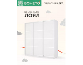 Шкаф-купе Лоял 3дв.- ДСП, LoyalD_210_B