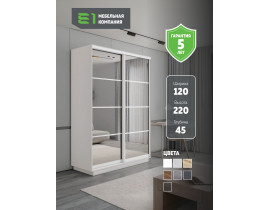 Шкаф-купе Экспресс, 2дв. 4 секции (Зеркало), Белый профиль, 120х45х220, 45E4EKD_PW_120_B